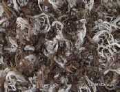 Scarf metallic mesh brown blend