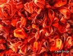 Scarf mesh knit red mix