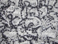 Scarf white mesh with black bobbles